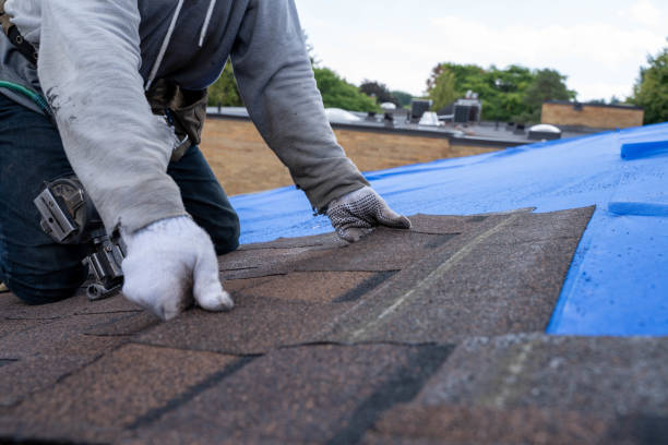 Best Residential Roofing Contractor  in Shamrock, TX