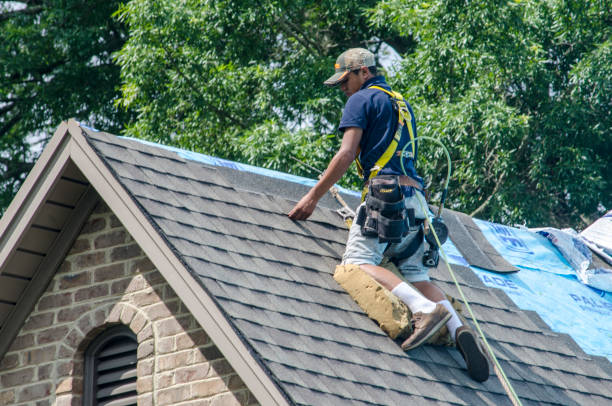 Best Roof Maintenance Services  in Shamrock, TX